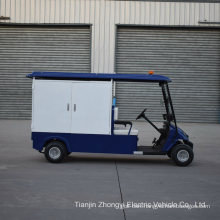 Electric Golf Cart Custom Made Electric Car